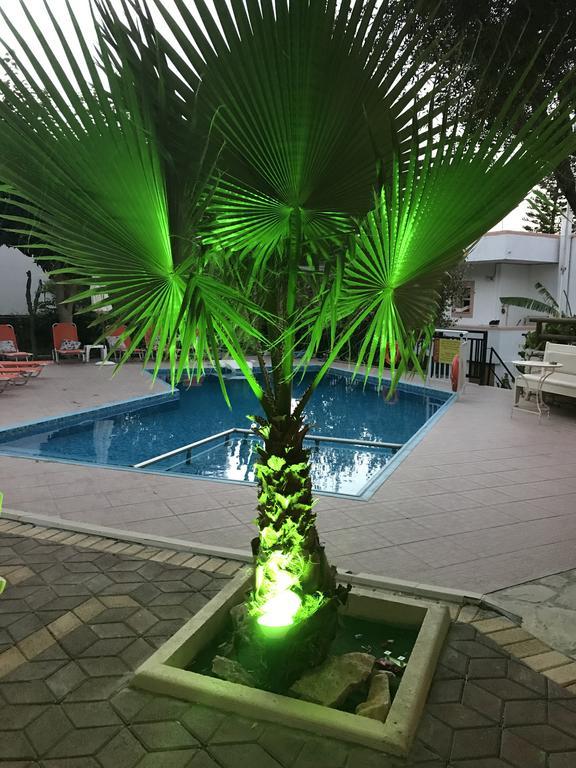 Vrisi Apartments & Villa ปิตซีเดีย ภายนอก รูปภาพ
