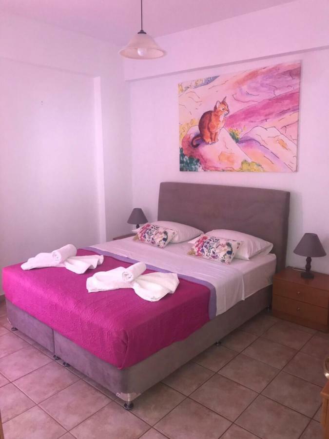 Vrisi Apartments & Villa ปิตซีเดีย ภายนอก รูปภาพ